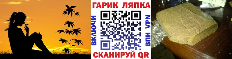 ГАШ Premium Ревда
