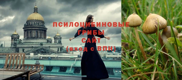 мяу мяу кристалл Алексин