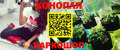 прущий лед Кандалакша